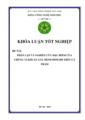 Phân lập và nghiên cứu đặc điểm của chủng vi khuẩn gây bệnh đốm đỏ trên cá trắm