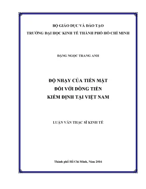 Luận văn độ nhạy của tiền mặt đối với dòng tiền kiểm định tại việt nam