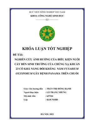 Nghiên cứu ảnh hưởng của điều kiện nuôi cấy đến sinh trưởng của chủng xạ khuẩn 23 có khả năng đối kháng nấm fusarium oxysporum gây bệnh panama trên chuối