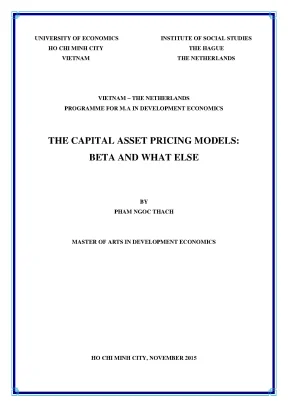 Luận văn the capital asset pricing model beta and what else