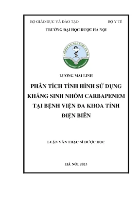 Lương mai linh phân tích tình hình sử dụng kháng sinh nhóm carbapenem tại bệnh viện đa khoa tỉnh điện biên luận văn thạc sĩ dược học hà nội 2023