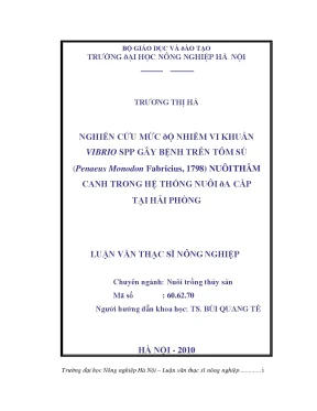 Nghiên cứu mức độ nhiễm vi khuẩn vibrio spp gây bệnh trên tôm sú penaeus monodon fabricius 1798 nuôi thâm canh trong hệ thống nuôi đa cấp tại hải phòng