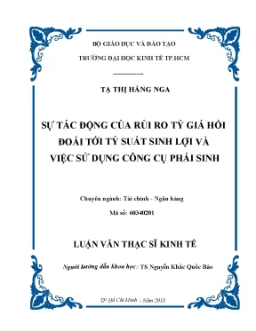 Luận văn sự tác động của rủi ro tỷ giá hối đoái tới tỷ suất sinh lợi và việc sử dụng công cụ phái sinh