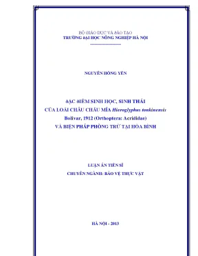 Nghiên cứu một số công đoạn trong quy trình công nghệ sản xuất bia không cồn
