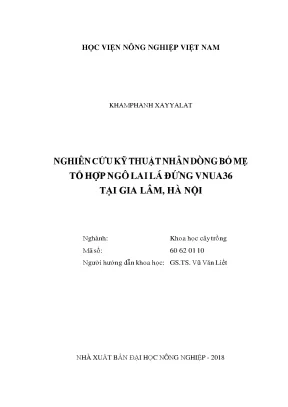 Nghiên cứu kỹ thuật nhân dòng bố mẹ tổ hợp ngô lai lá đứng vnua36 tại gia lâm hà nội