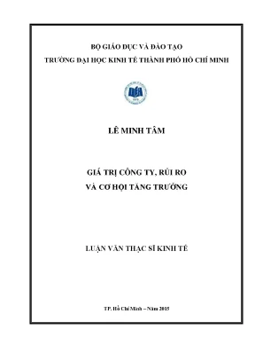 Luận văn giá trị công ty rủi ro và cơ hội tăng trưởng
