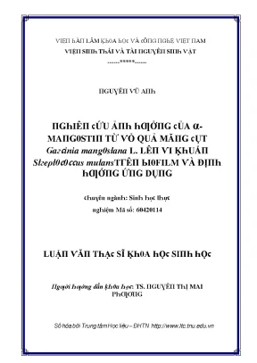 Luận văn nghiên cứu ảnh hưởng của α mangostin từ vỏ quả măng cụt garcinia mangostana l lên vi khuẩn streptococcus mutans trên biofilm và đi ̣nh hướng ứng dụng