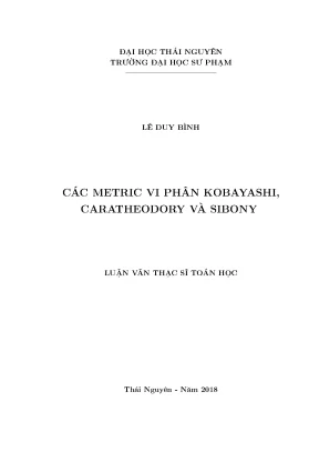 Luận văn các metric vi phân kobayashi caratheodory và sibony