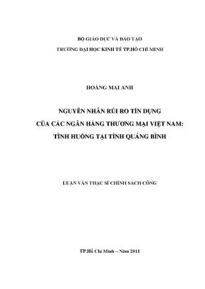 Luận văn nguyên nhân rủi ro tín dụng của các ngân hàng thương mại việt nam tình huống tại tỉnh quảng bình