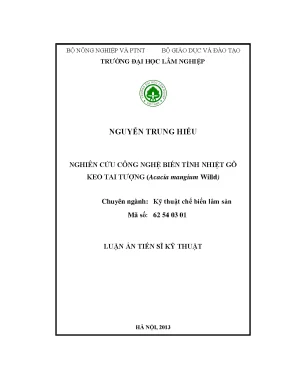 Luận văn nghiên cứu công nghệ biến tính nhiệt gỗ keo tai tượng acacia mangium willd
