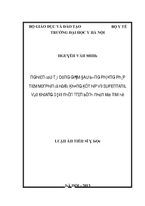 Luận văn nghiên cứu tác dụng giảm đau bằng phương pháp tiêm morphin có hoặc không kết hợp với sufentanil vào khoang dưới nhện trên bệnh nhân mổ tim hở