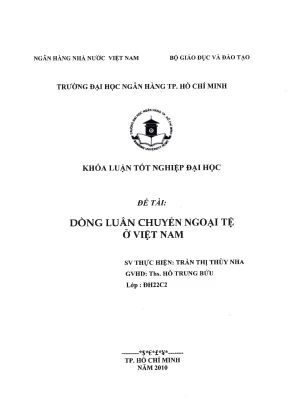 Luận văn thạc sĩ dòng luân chuyển ngoại tệ ở việt nam