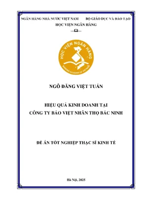 Luận văn thạc sĩ tài chính ngân hàng hiệu quả kinh doanh tại công ty bảo việt nhân thọ bắc ninh
