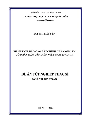 Luận văn thạc sĩ kế toán phân tích báo cáo tài chính của công ty cổ phần dây cáp điện việt nam cadivi