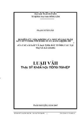Luận văn nghiên cứu ảnh hưởng của một số loại phân hcvs tới năng suât hàm lượng no3 của rau cải bắp và hóa tính đất trồng rau tại thị xã hà giang