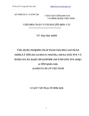Luận văn ứng dụng phương pháp phân tích dna góp phần chỉnh lý tên chi bambusa schreb cho ba loài tre và đánh giá đa dạng nucleotide cho tám loài tre chưa có tên khoa học bambusa sp ở việt nam