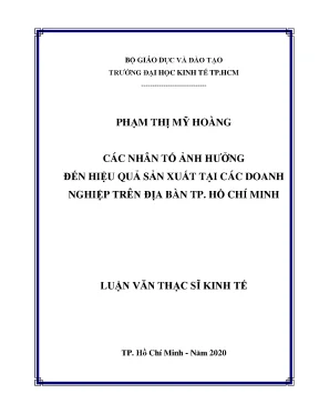 Luận văn các nhân tố ảnh hưởng đến hiệu quả sản xuất tại các doanh nghiệp trên địa bàn tp hồ chí minh