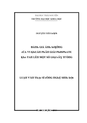 Luận văn đánh giá ảnh hưởng của vi khuẩn phân giải phosphate khó tan lên một số loại cây trồng