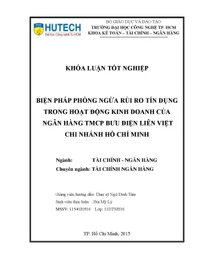 Luận văn biện pháp phòng ngừa rủi ro tín dụng trong hoạt động kinh doanh của ngân hàng tmcp bưu điện liên việt chi nhánh hồ chí minh