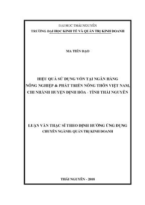Luận văn hiệu quả sử dụng vốn tại ngân hàng nông nghiệp phát triển nông thôn việt nam chi nhánh huyện định hóa tỉnh thái nguyên