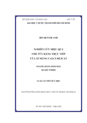 Luận án tiến sĩ nghiên cứu hiệu quả che tuỷ răng trực tiếp của xi măng calci silicat