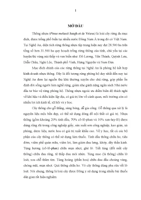 Luận văn áp dụng chọn giống để thiết lập rừng thông nhựa pinus merkusii jungh et de vriese theo hướng làm tăng sản lượng nhựa tại huyện quỳnh lưu nghệ an