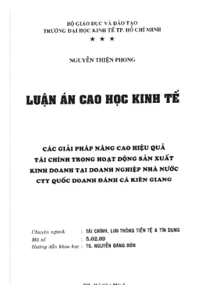 Luận văn thạc sĩ các giải pháp nâng cao hiệu quả tài chính trong hoạt động sản xuất kinh doanh tại doanh nghiệp nhà nước cty quốc doanh đánh cá kiên giang