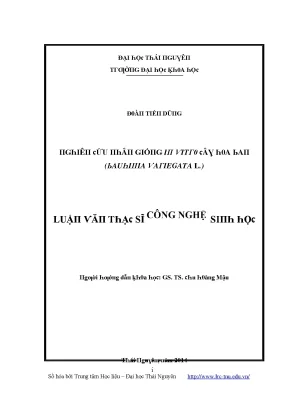 Luận văn nghiên cứu nhân giống in vitro cây hoa ban bauhinia variegata