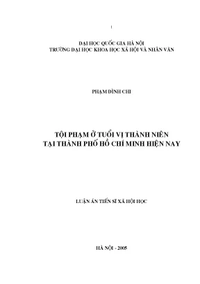 Luận án tiến sĩ tội phạm ở tuổi vị thành niên tại thành phố hồ chí minh hiện nay luận án ts xã hội học 5 03 51