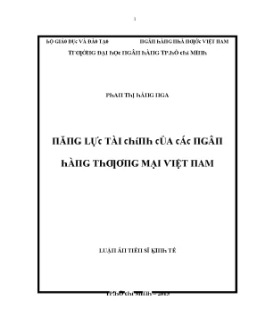 Luận văn năng lực tài chính của các ngân hàng thương mại việt nam