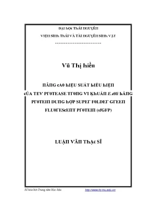 Luận văn nâng cao hiệu suất biểu hiện tev protease trong vi khuẩn e coli bằng protein dung hợp super folder green fluorescent protein sfgfp