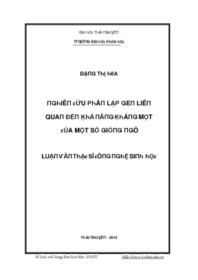 Luận văn nghiên cứu phân lập gen liên quan đến khả năng kháng mọt của một số giống ngô