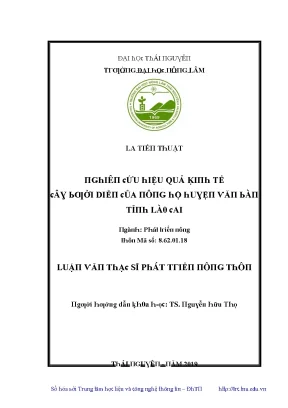 Luận văn nghiên cứu hiệu quả kinh tế cây bưởi diễn của nông hộ huyện văn bàn tỉnh lào cai
