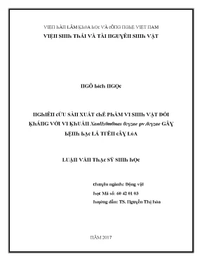 Luận văn nghiên cứu sản xuất chế phẩm vi sinh vật đối kháng với vi khuẩn xanthomonas oryzae pv oryzae gây bệnh bạc lá trên cây lúa