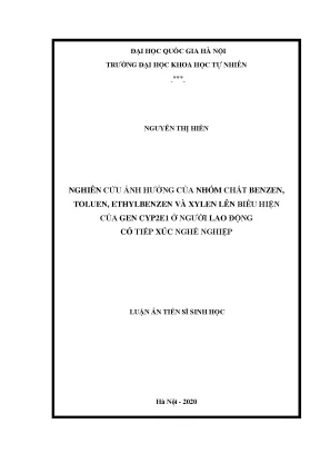 Luận văn thạc sĩ nghiên cứu ảnh hưởng của nhóm chất benzen toluen ethylbenzen và xylen lên biểu hiện của gen cyp2e1 ở người lao động có tiếp xúc nghề nghiệp