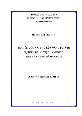 Luận văn nghiên cứu vai trò của vàng đối với sự biến động việt nam đồng tiếp cận theo hàm copula kiểm định thị trường hiệu quả