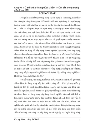 Ứng dụng chấm điểm tín dụng trong xếp hạng doanh nghiệp vừa và nhỏ tại nhno ptnt nam hà nội