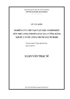 Luận văn thạc sĩ công nghệ hóa học nghiên cứu chế tạo vật liệu composite nền nhựa polypropylene gia cường bằng sợi dừa nước nypa fruticans wurmb