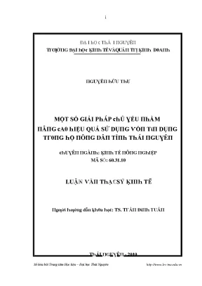 Luận văn một số giải pháp chủ yếu nhằm nâng cao hiệu quả sử dụng vốn tín dụng trong hộ nông dân tỉnh thái nguyên