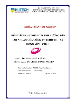 Luận văn phân tích các nhân tố ảnh hưởng đến lợi nhuận của công ty tnhh tm sx hồng minh châu