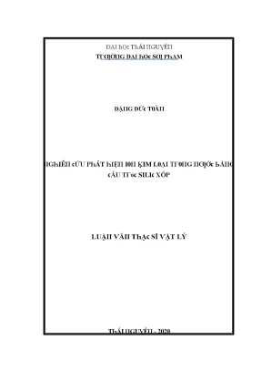 Luận văn nghiên cứu phát hiện ion kim loại trong nước bằng cấu trúc silic xốp
