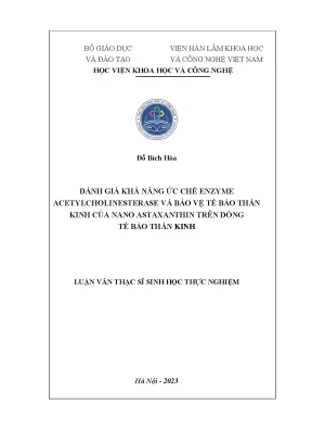 Luận văn thạc sĩ sinh học thực nghiệm đánh giá khả năng ức chế enzyme acetylcholinesterase và bảo vệ tế bào thần kinh của nano astaxanthin trên dòng tế bào thần kinh