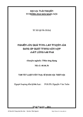 Luận văn nghiên cứu quá trình lan truyền của sóng áp suất trong hỗn hợp chất lỏng hai pha