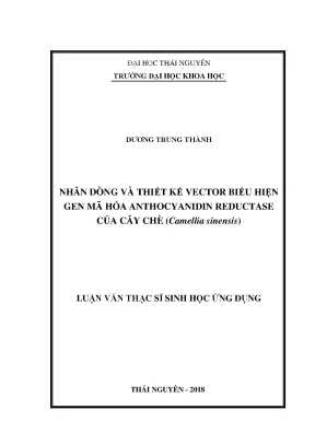 Luận văn nhân dòng và thiết kế vector biểu hiện gen mã hóa anthocyanidin reductase của cây chè camellia sinensis