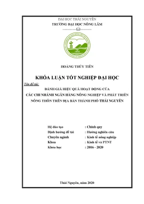 Luận văn đánh giá hiệu quả hoạt động của các chi nhánh ngân hàng nông nghiệp và phát triển nông thôn trên địa bàn thành phố thái nguyên