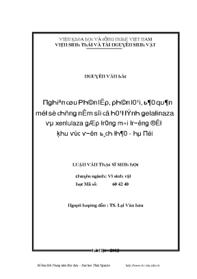 Luận văn nghiên cứu phân lập phân loại bảo quản một số chủng nấm sợi có hoạt tính gelatinaza và xenlulaza gặp trong môi trường đất khu vực vườn bách thảo hà nội