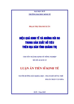 Luận án tiến sĩ kinh tế nông nghiệp hiệu quả kinh tế và những rủi ro trong sản xuất hồ tiêu trên địa bàn tỉnh quảng trị