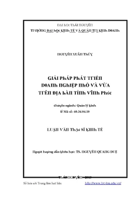 Luận văn giải pháp phát triển doanh nghiệp nhỏ và vừa trên địa bàn tỉnh vĩnh phúc