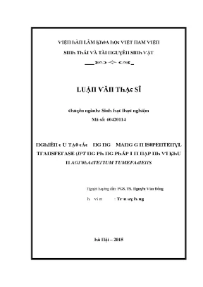 Luận văn nghiên cứu tạo các dòng ngô mang gen isopentenyl transferase ipt bằng phương pháp biến nạp nhờ vi khuẩn agrobacterium tumefaciens