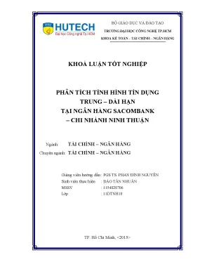 Luận văn phân tích tình hình tín dụng trung dài hạn tại ngân hàng sacombank chi nhánh ninh thuận